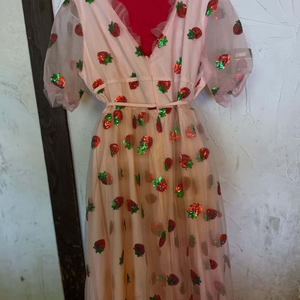 Strawberry dress NWOT